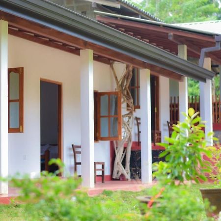 Sinharaja Forest Lodge Deniyaya Bagian luar foto