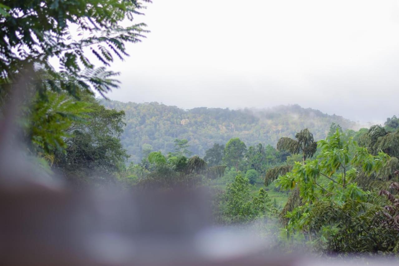 Sinharaja Forest Lodge Deniyaya Bagian luar foto