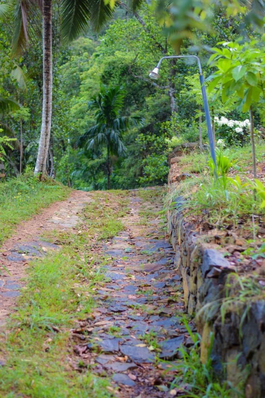 Sinharaja Forest Lodge Deniyaya Bagian luar foto